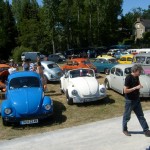 Tout plein de coccinelles.